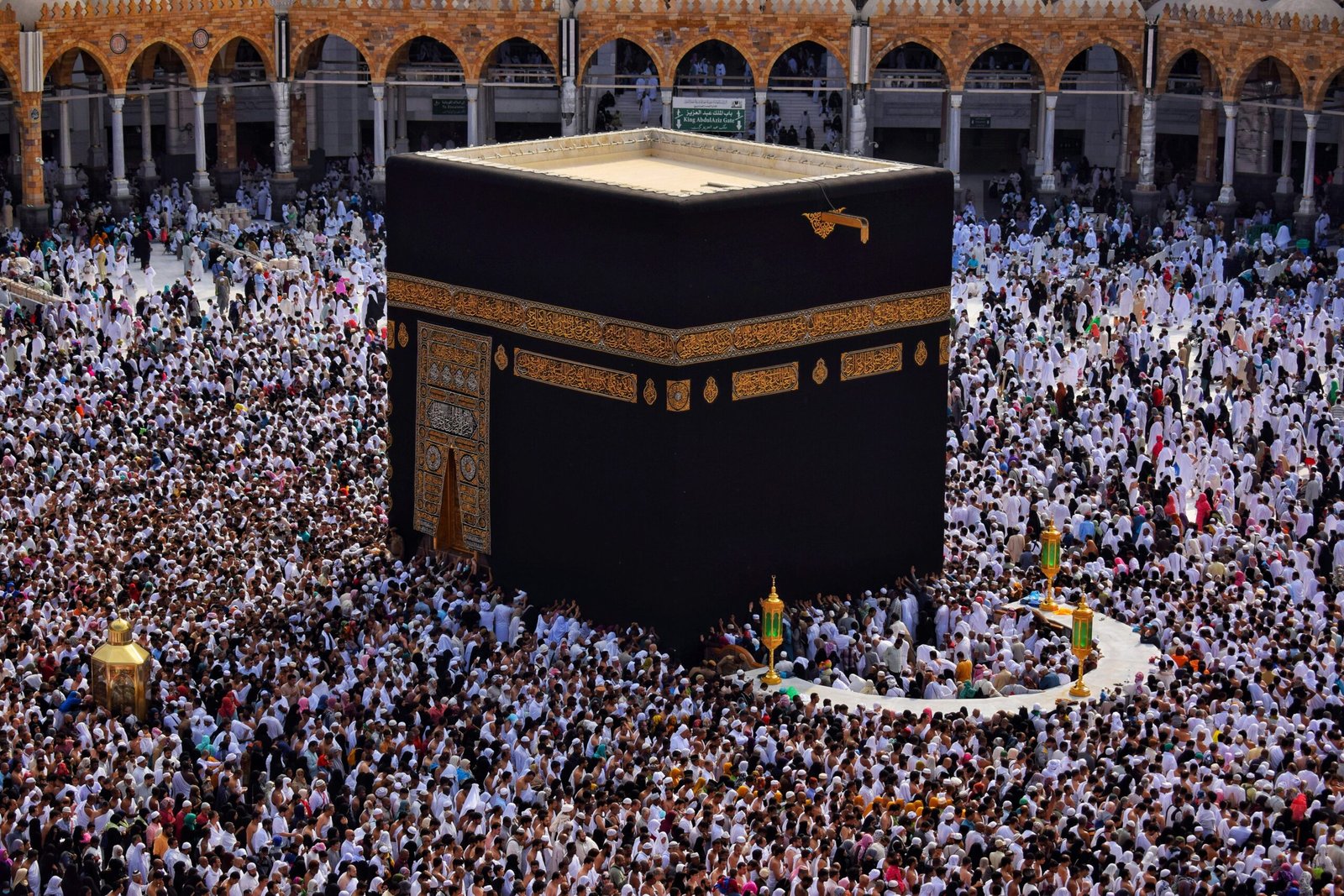 haidan 8kg 2kk97xc unsplash